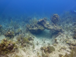 64 Reef IMG 3791